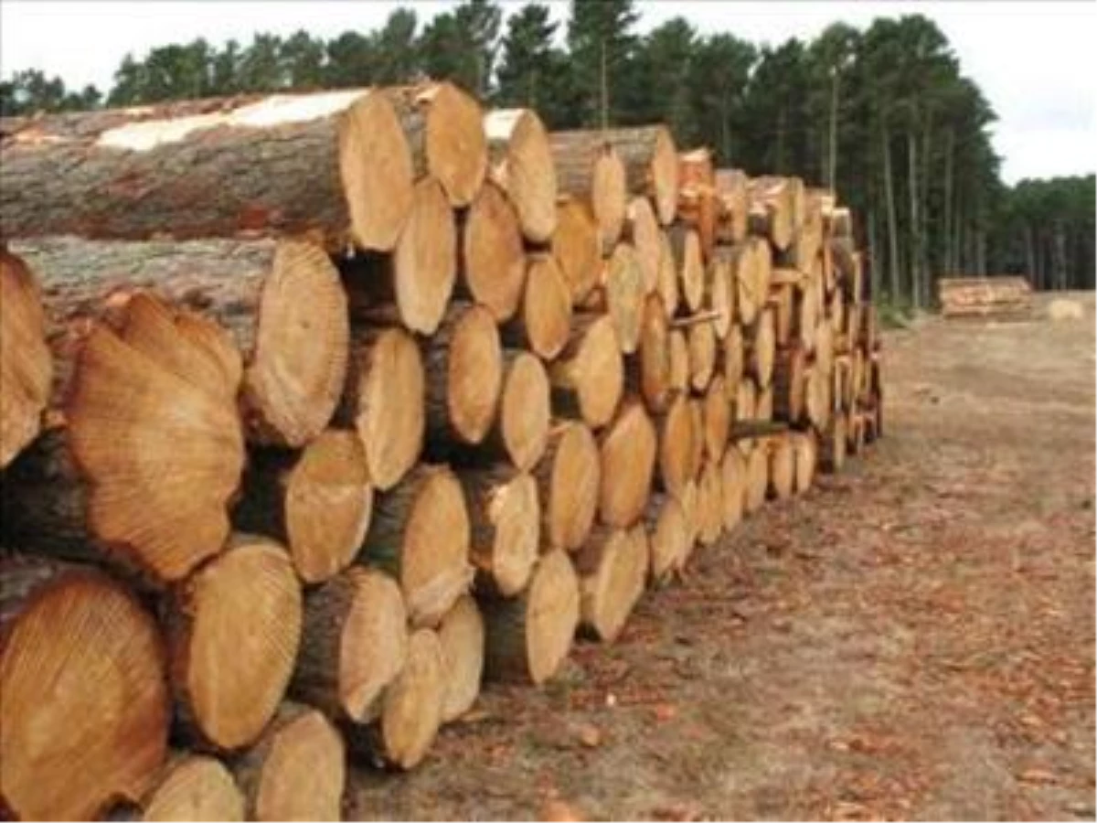 İstanbul Ağaç Mamülleri ve Orman Ürünleri İhracatçı Birliği\'nin Yeni Genel Başkanı Güleç Oldu