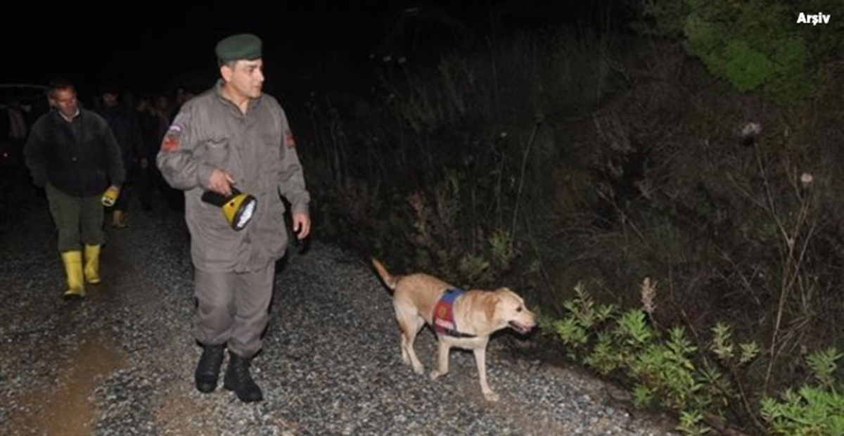 Mantar Toplamaya Giden Yaşlı Adam 1 Gündür Kayıp