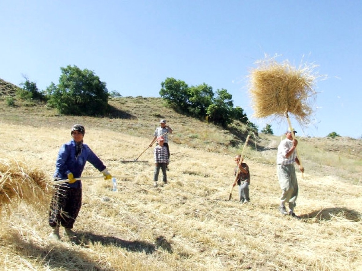 Niğde\'de 21 Projeye 6,7 Milyon TL\'lik Hibe Desteği