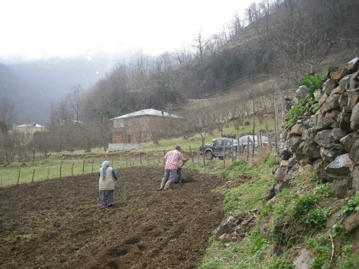 Ordulular Tarım, Orman ve Balıkçılığa Eğilimli