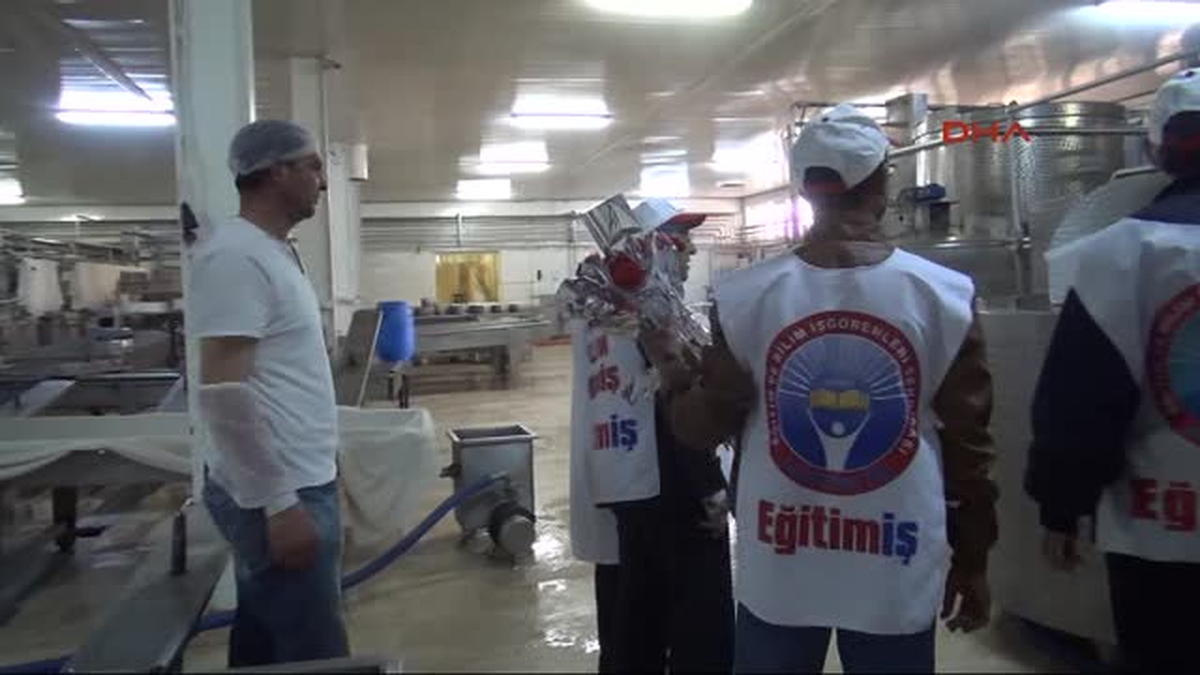 Sanayi İşçilerine Karanfil