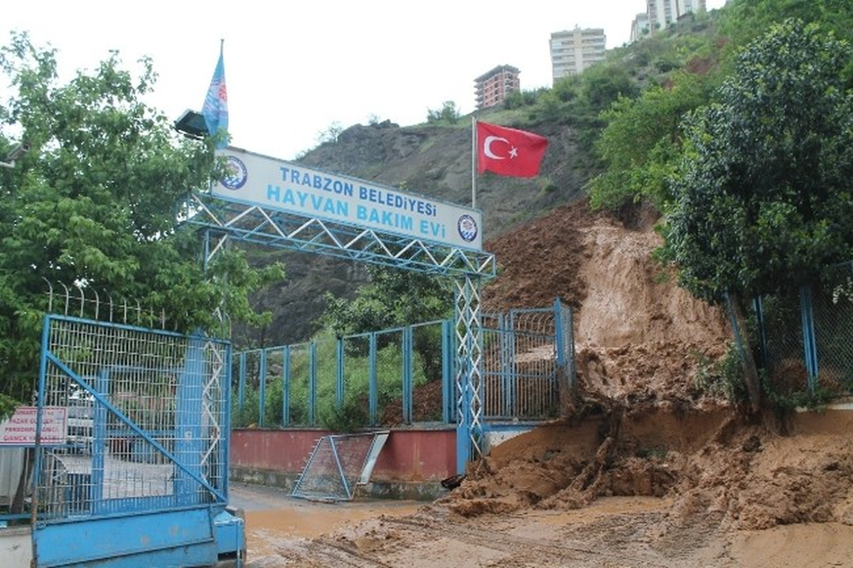 Trabzon\'da Heyelan Az Kalsın Sahipsiz Köpeklerin Ölümüne Neden Olacaktı