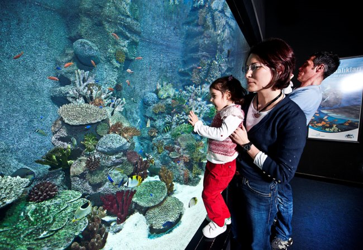 Annenizi Turkuazoo\'da Okyanusun Güzellikleriyle Buluşturun