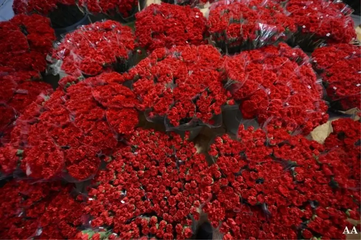 Bayındır Çiçek Festivali Başladı