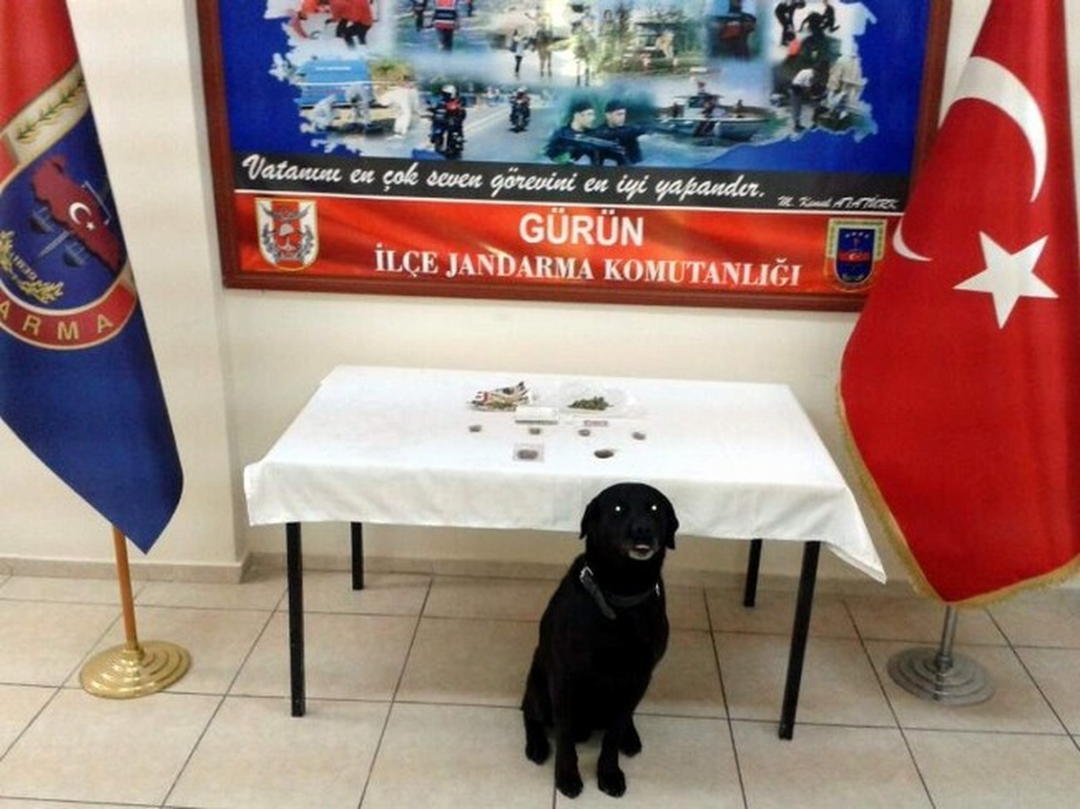 Cezaevine Uyuşturucu Sokarken Yakalandılar