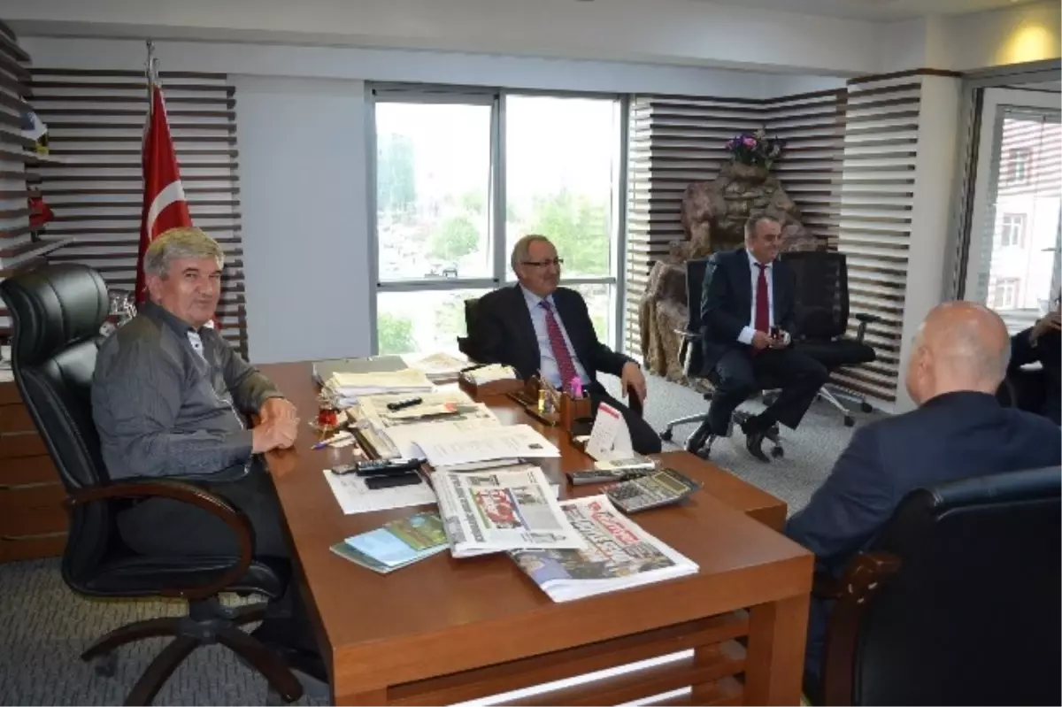 Köy Yolları Yeşillendi