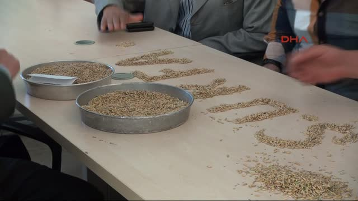 Şanlıurfa\'da Yılın İlk Mahsulüne Ödül