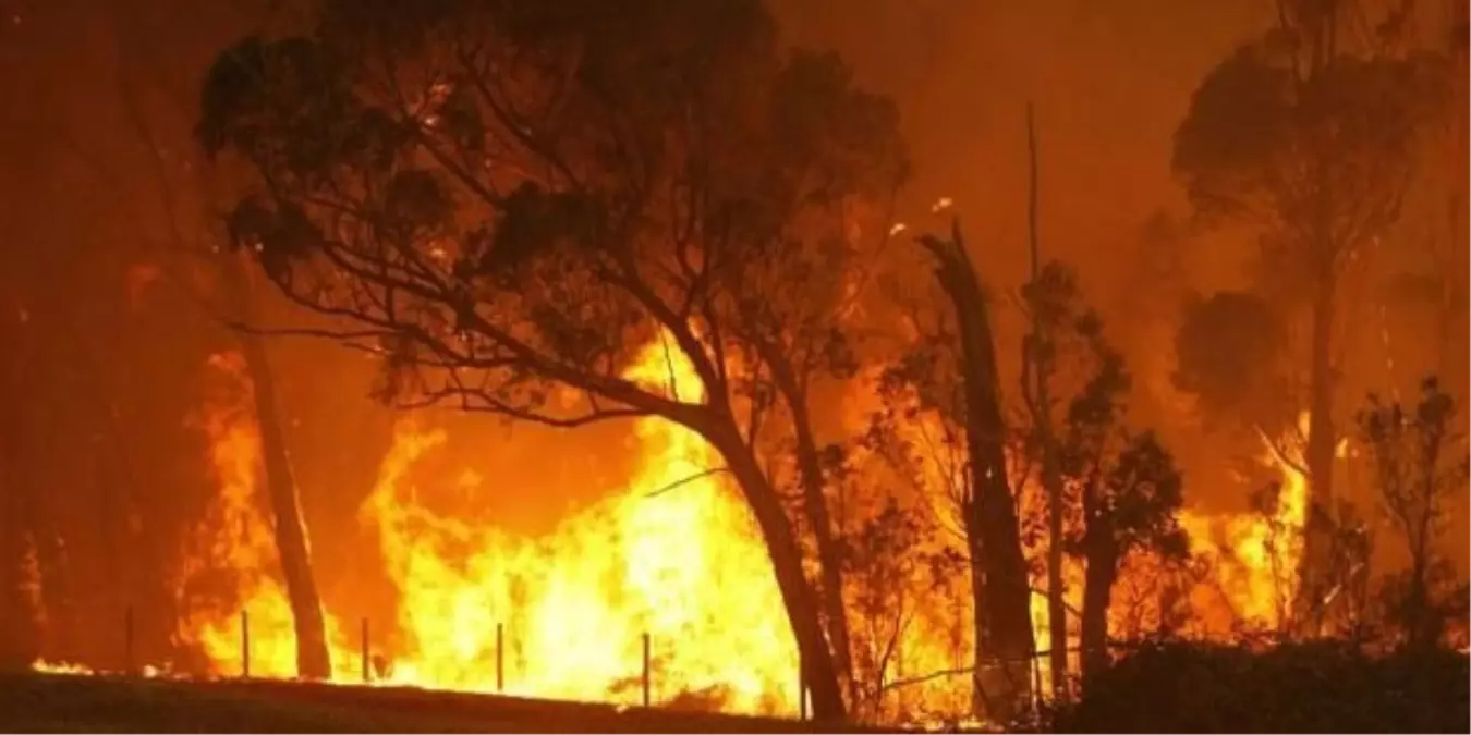 Türkiye\'de Her Yıl 10 Bin Hektar Orman Yanıyor