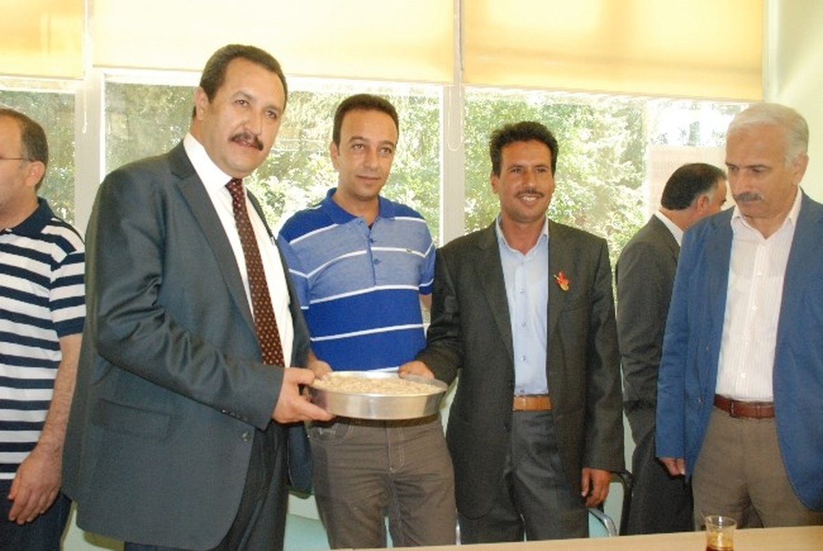 Yılın İlk Arpa Mahsülü Görücüye Çıktı
