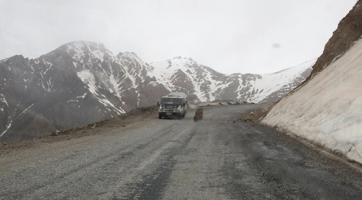 Yola Düşen Taşlar Tehlike Saçıyor