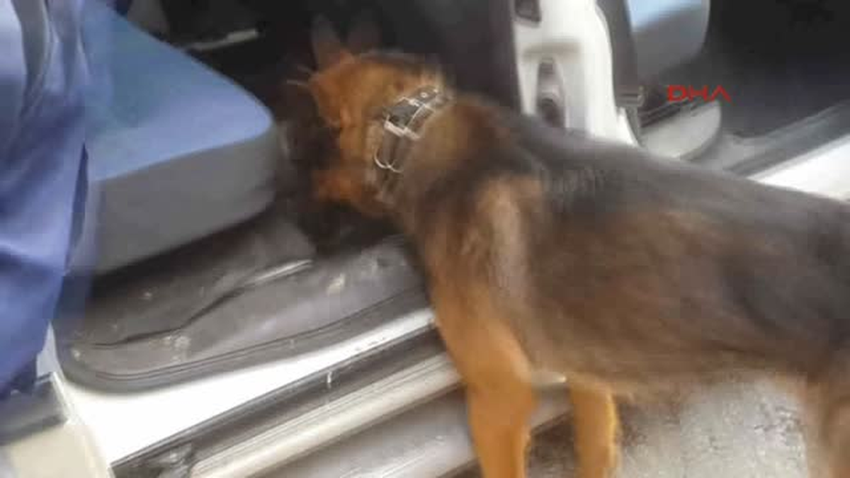 Amasya\'da 55 Kilo Eroin Ele Geçirildi