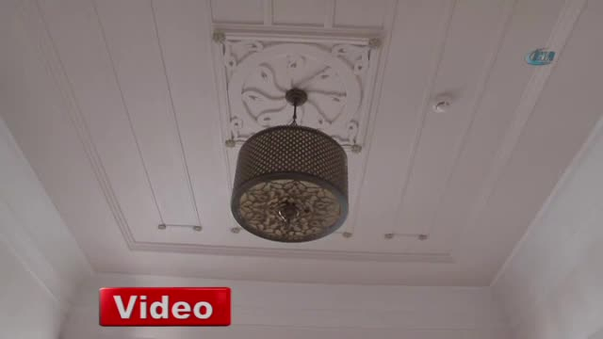 Küllerinden Doğdu