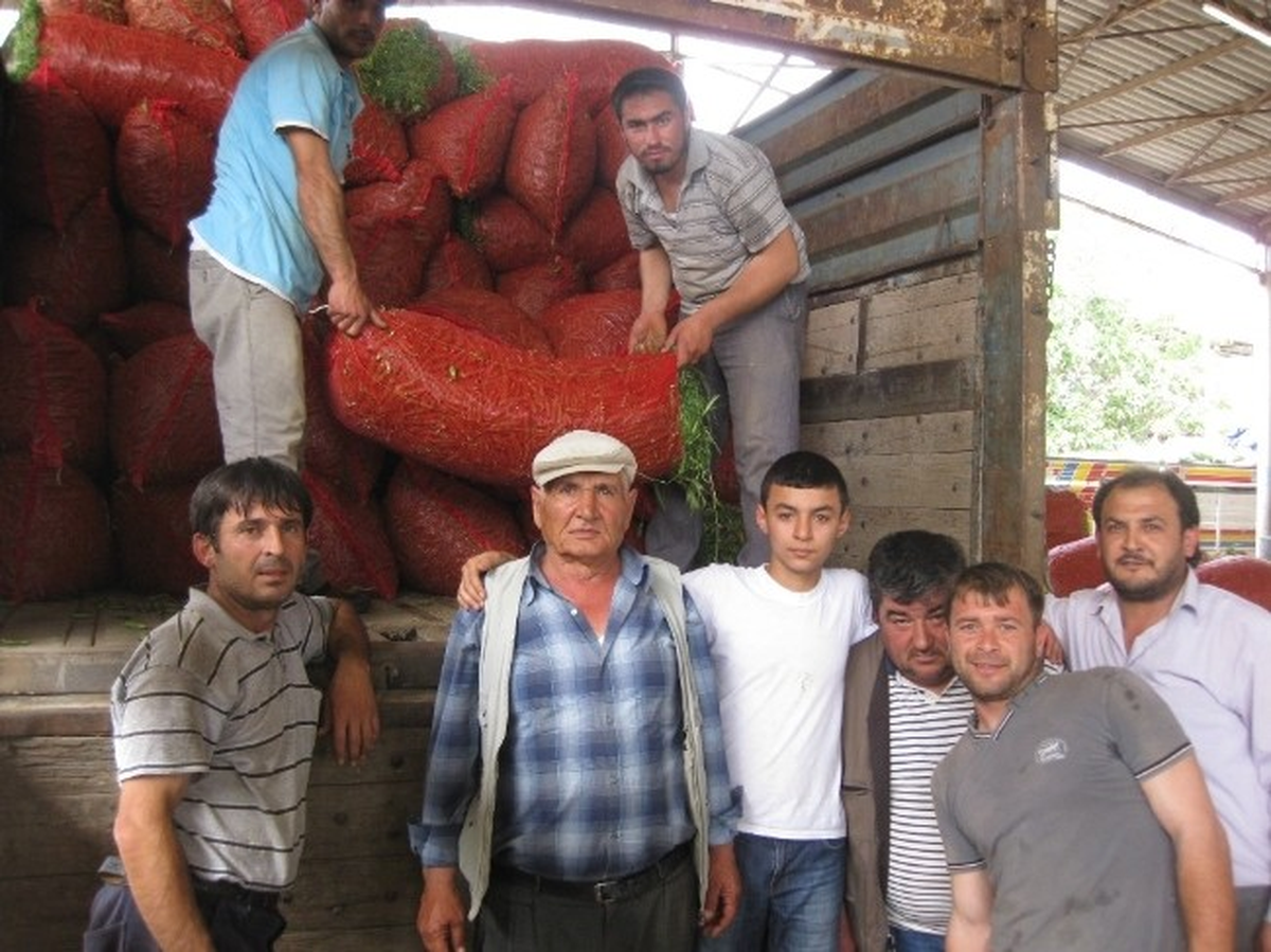 Ödemiş Bakla ve Bezelyesinde Rekolte Normal Düzeyde, Fiyatlar 80 Kuruş