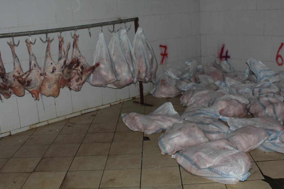 Samsun\'da 350 Kilogram Kaçak Et Ele Geçirildi