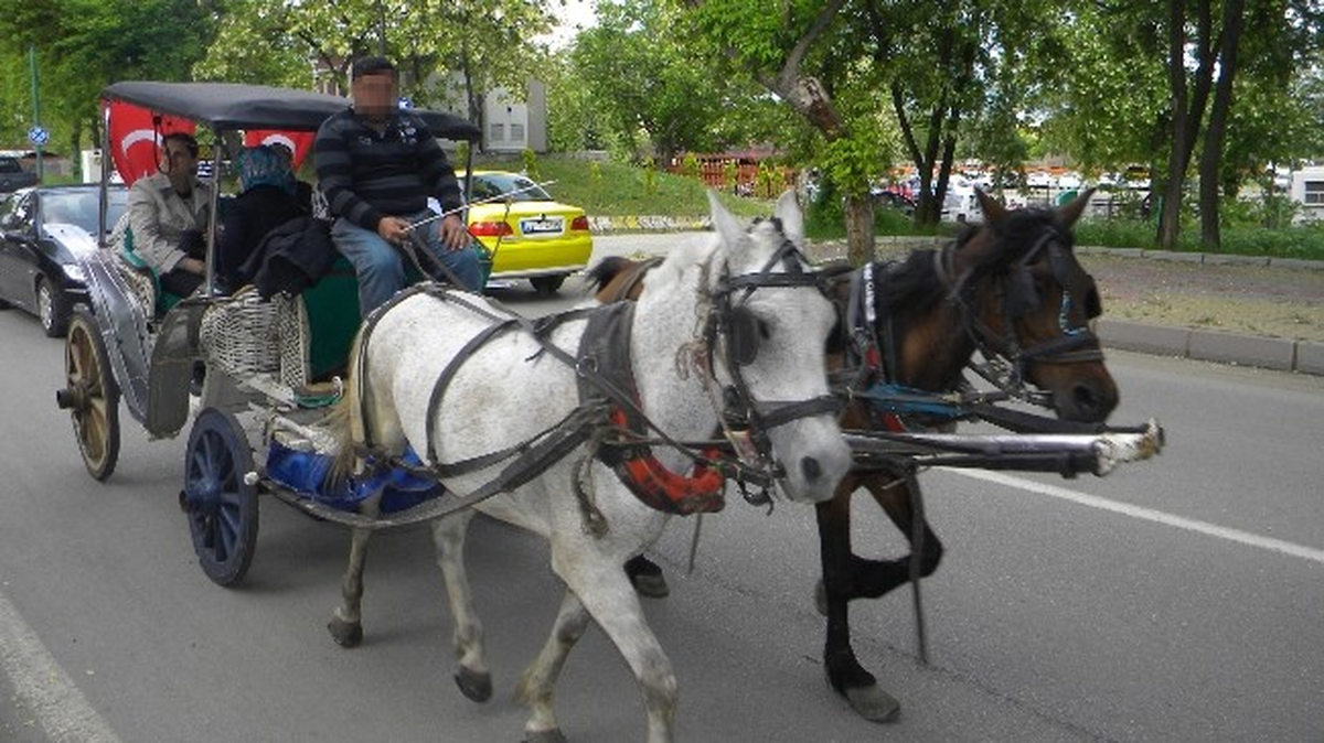 Turistlere Faytonlu Tur