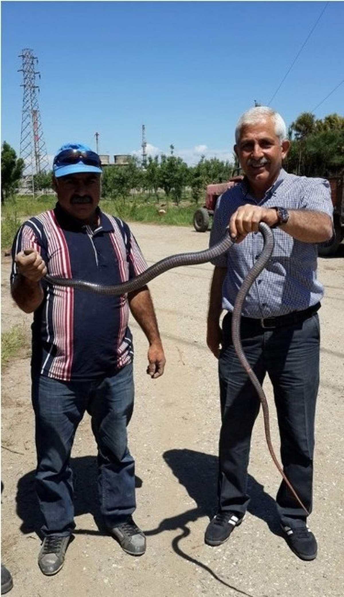 Yılanla Hatıra Fotoğrafı Çektirdi