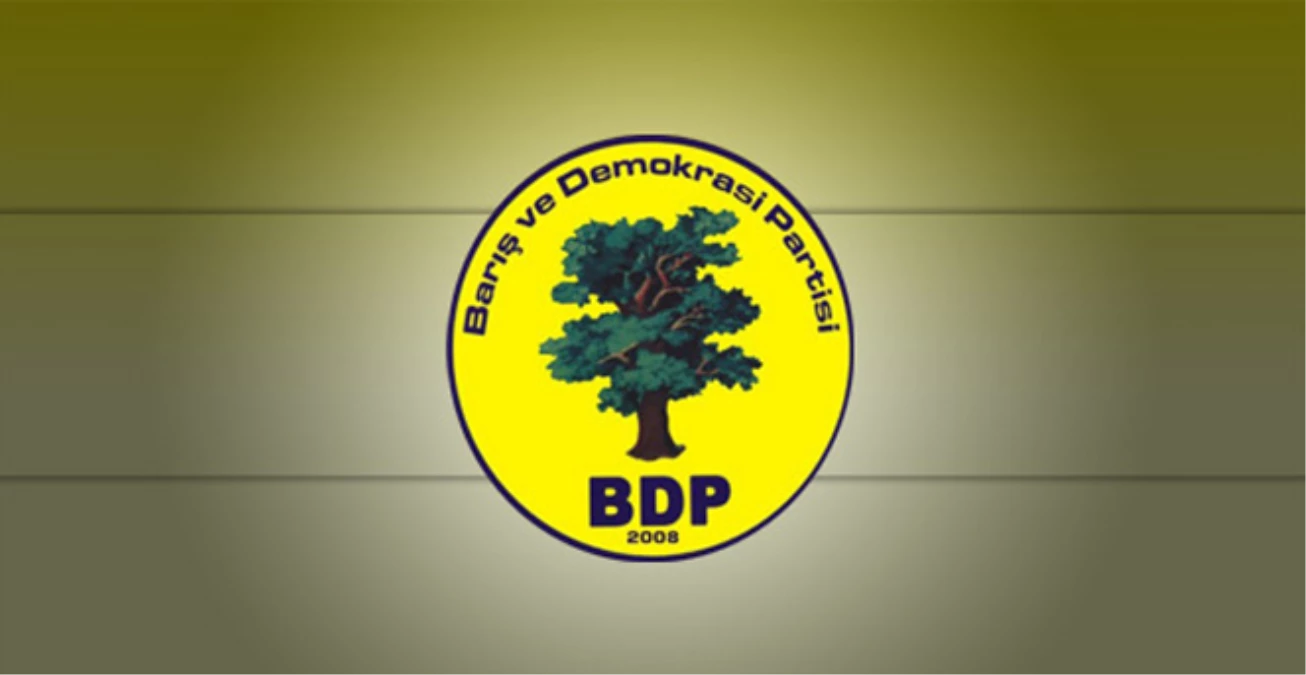 BDP\'li Eski ve Yeni Başkanların Ortak Noktası