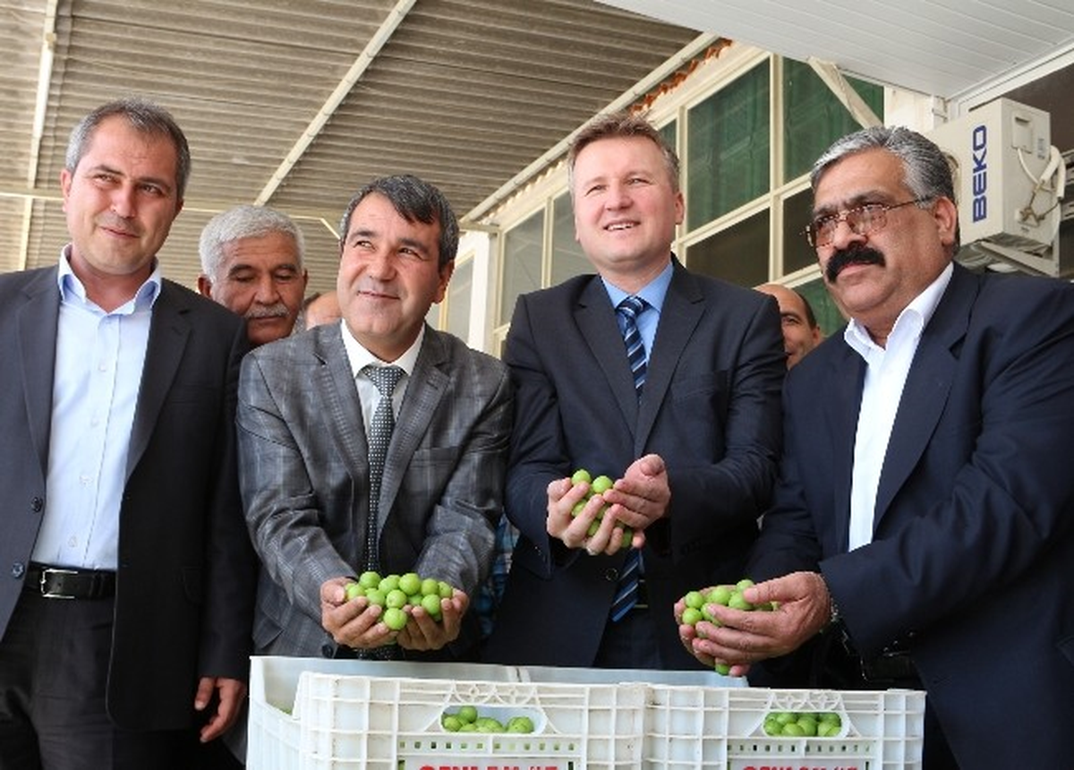 Erik Altın Yılını Yaşıyor