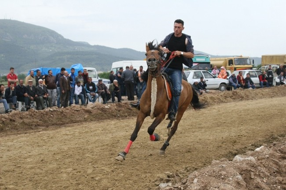 Rahvan Atlar İzmir\'de Boy Gösterdi