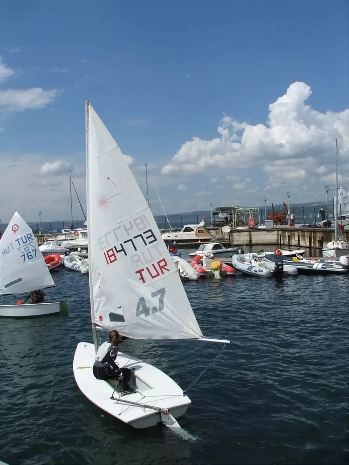 Yelken: Bölge Kupası