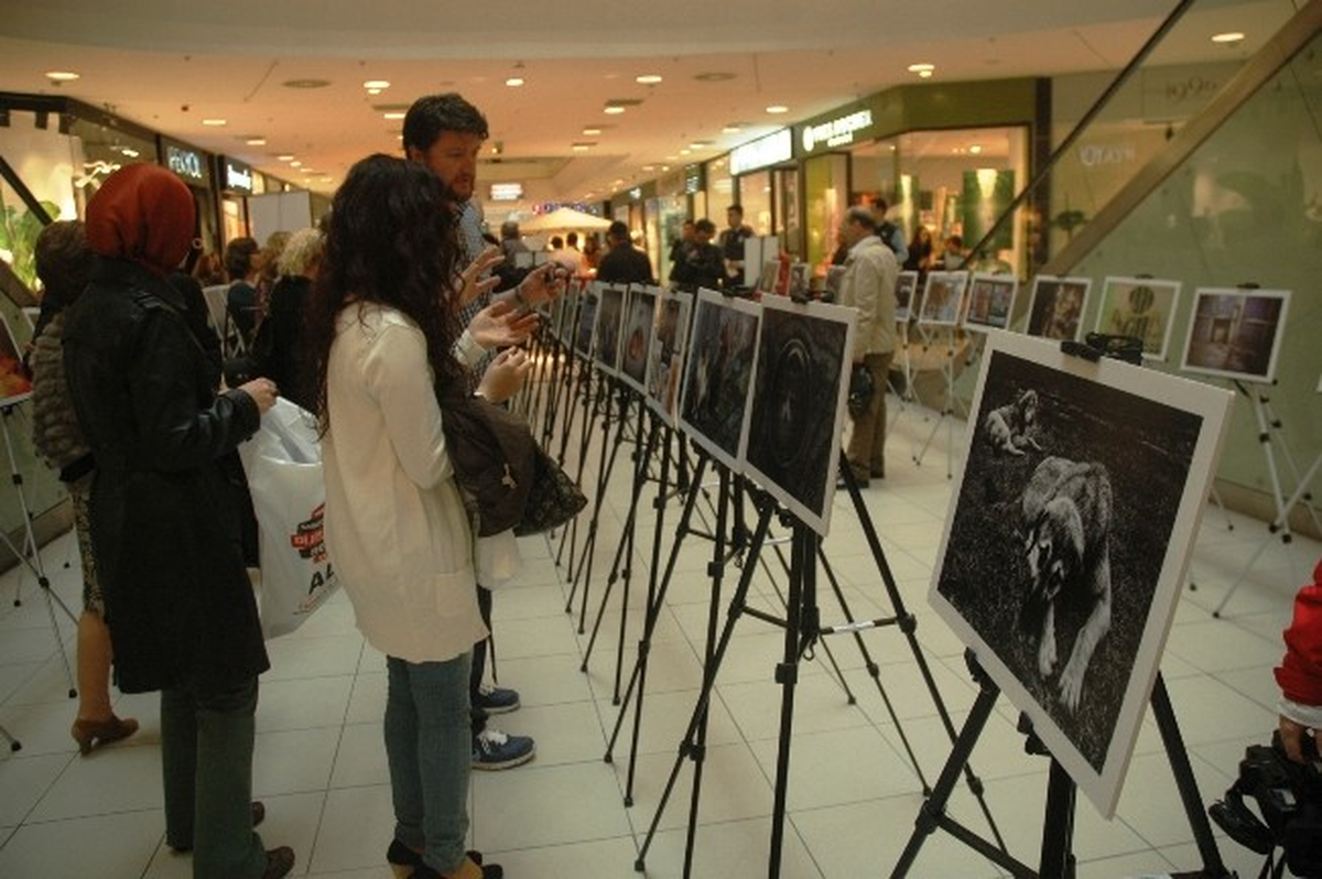 Sokağın Nefesi, Sesi" Fotoğraf Sergisi