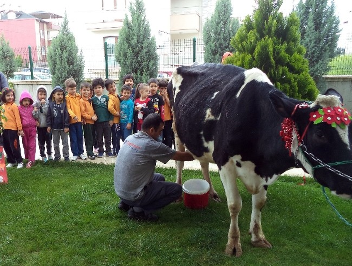Çocuklara Uygulamalı Eğitim