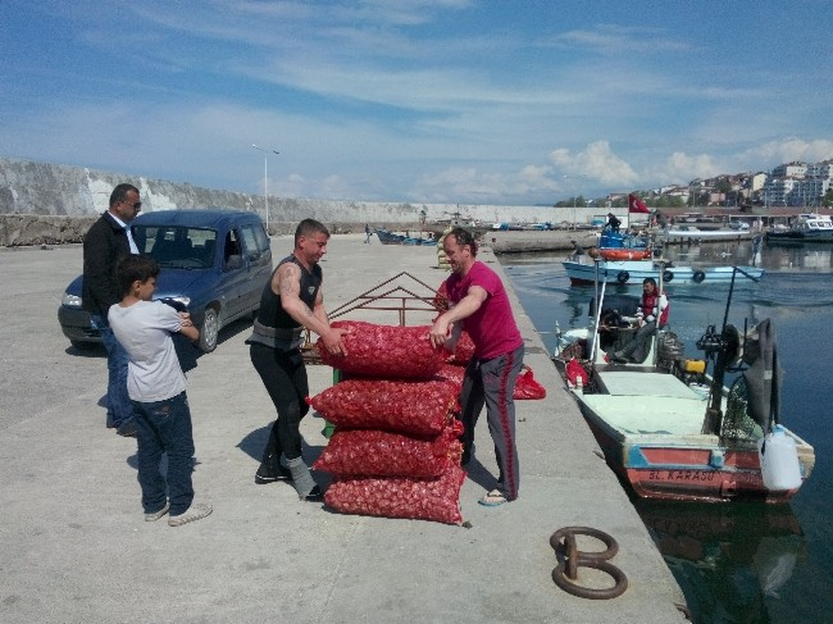 Deniz Salyangozu Balıkçıların İkinci Ekmek Kapısı
