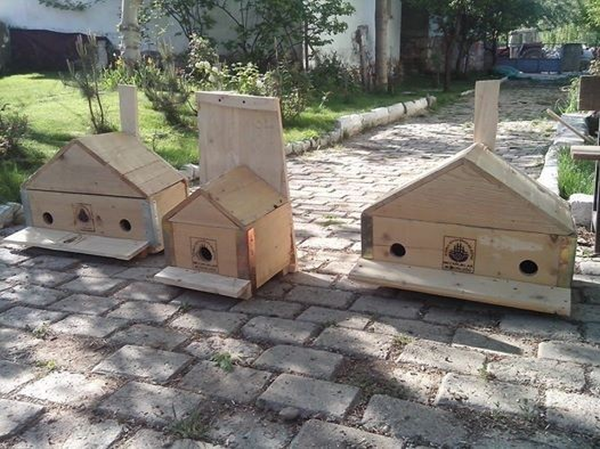 Eski Tabutlar Modern Kuş Yuvalarına Dönüştü