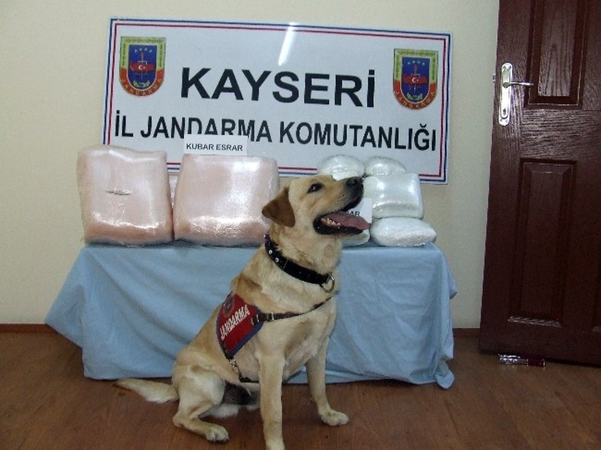 Kayseri\'de Uyuşturucu Operasyonu