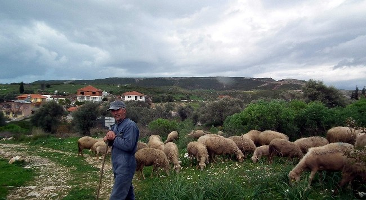 Köylere Hizet Götürmede Belirsizlik