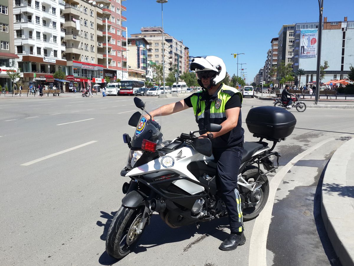 Şahinler İşbaşında