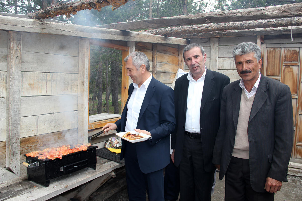 Tatar Ormanlarında İlkbahar