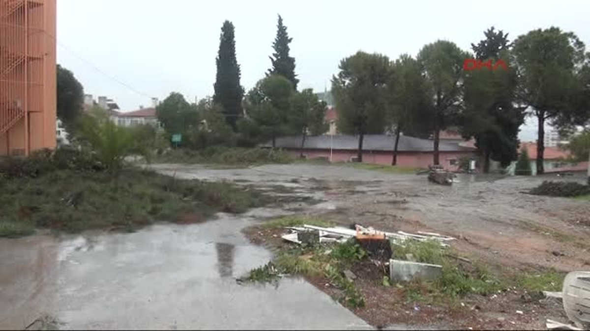 Üniversite Yerleşkesindeki Ağaçların Kesildiği İddiası