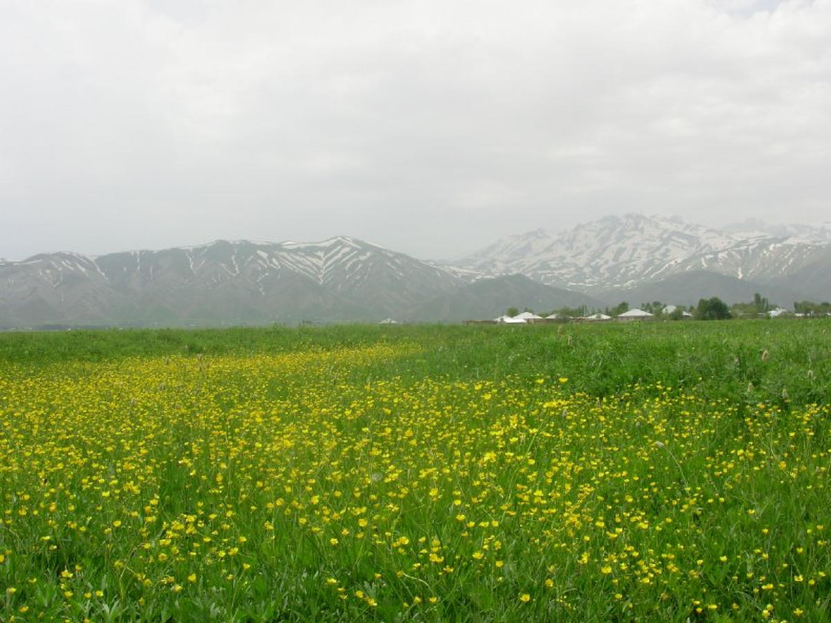 Yüksekova\'da Bahar