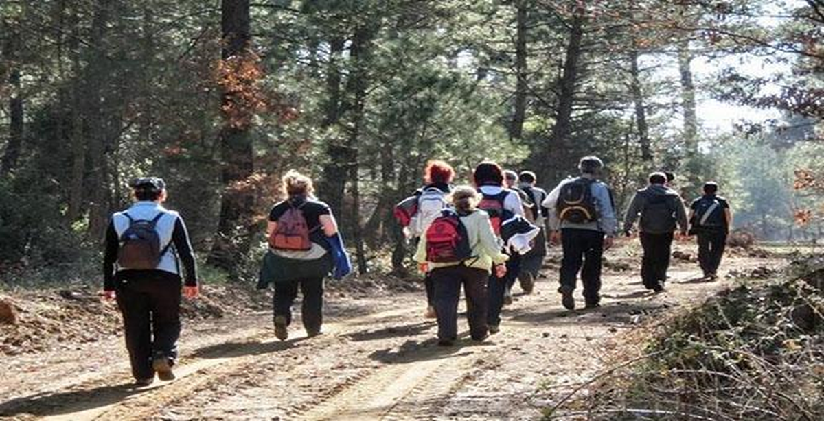 Doçek Doğa Yürüyüşlerini Sürdürüyor