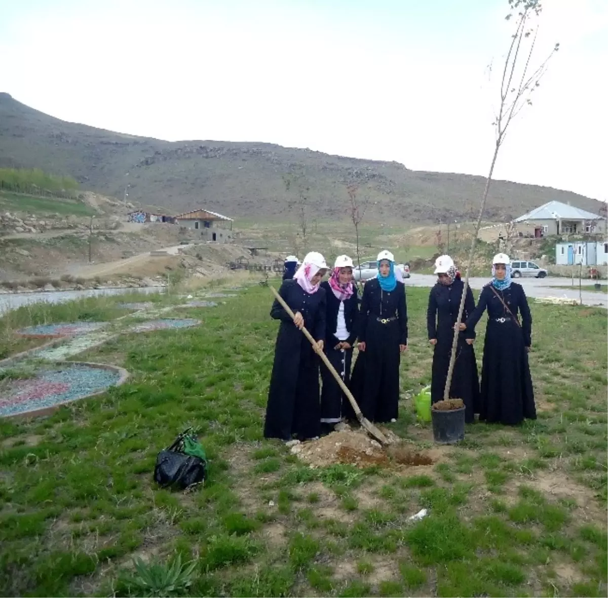 Gönül Elçilerinden Fidan Dikimi