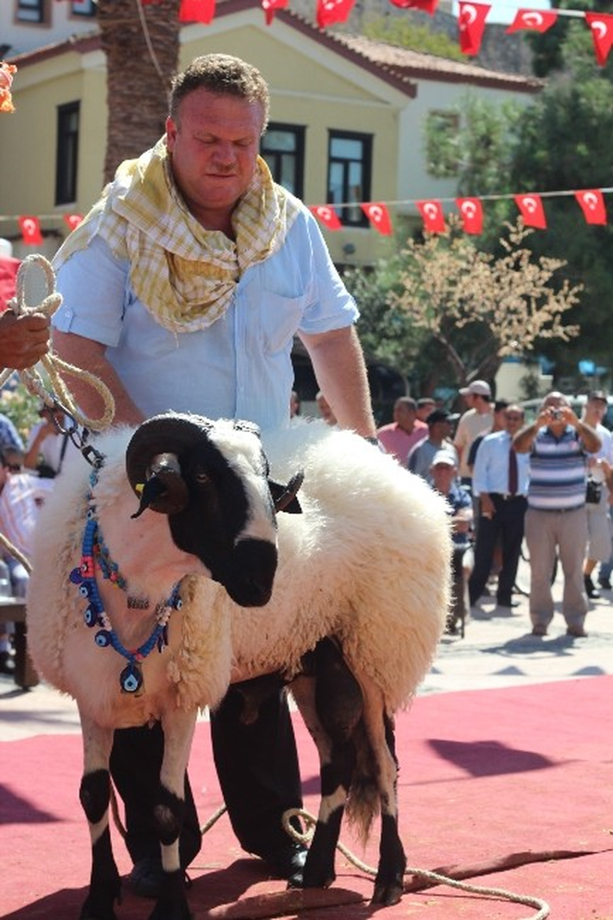 Türkiye\'nin İlk ve Tek "Canlı Besi Hayvan Fuarı" İzmir\'de Düzenleniyor