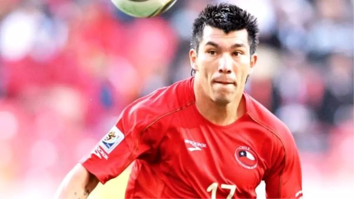 Bir Pitbull da Beşiktaş\'a