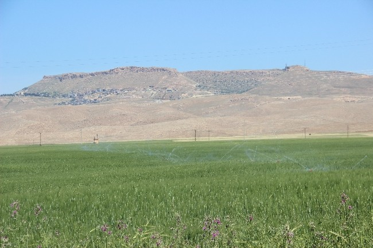Mardin\'de Tarım Alanında Kullanılan Elektriğin Yüzde 90\'ı Tahsil Edilemiyor