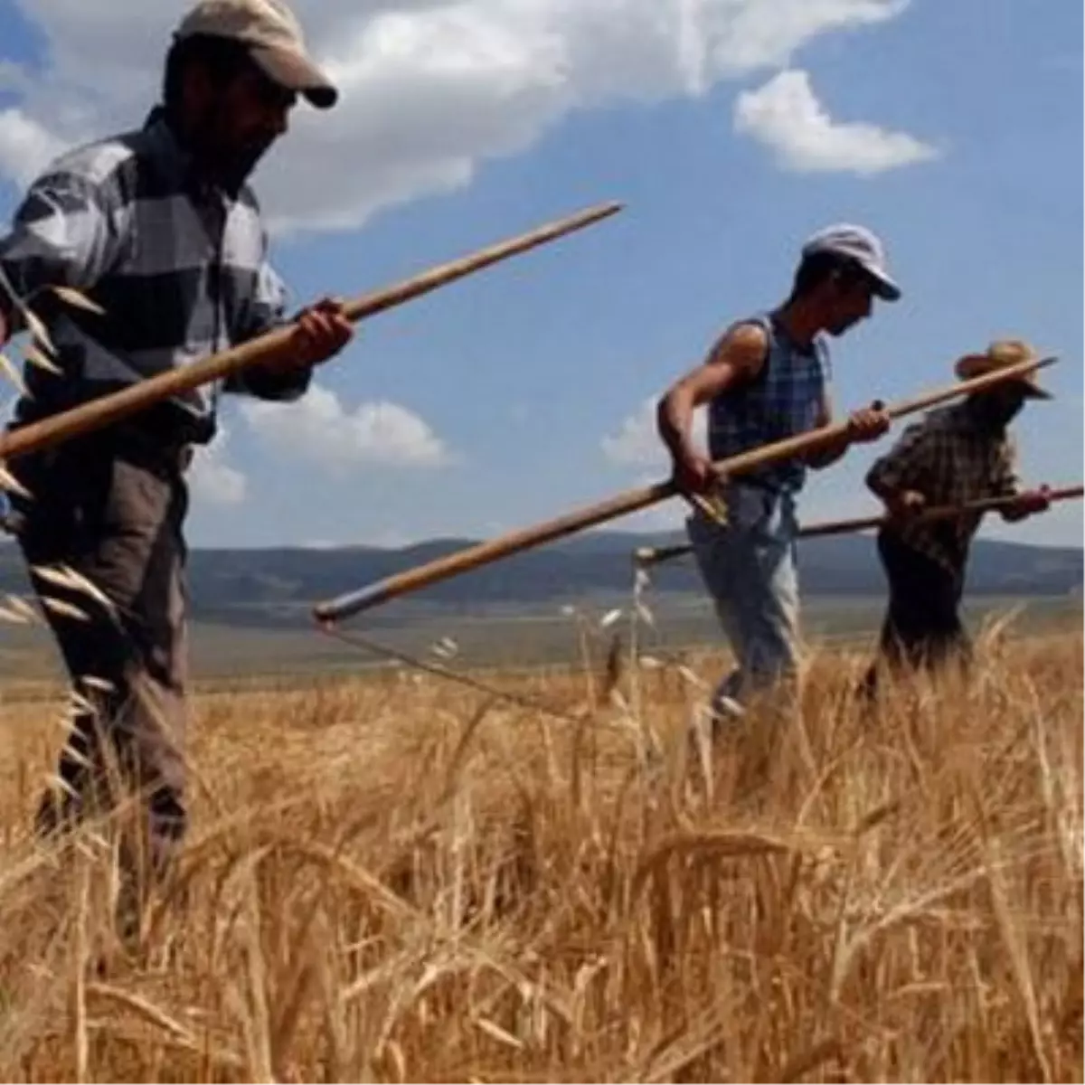 Niğde\'de Gıda, Tarım ve Hayvancılık Fuarı