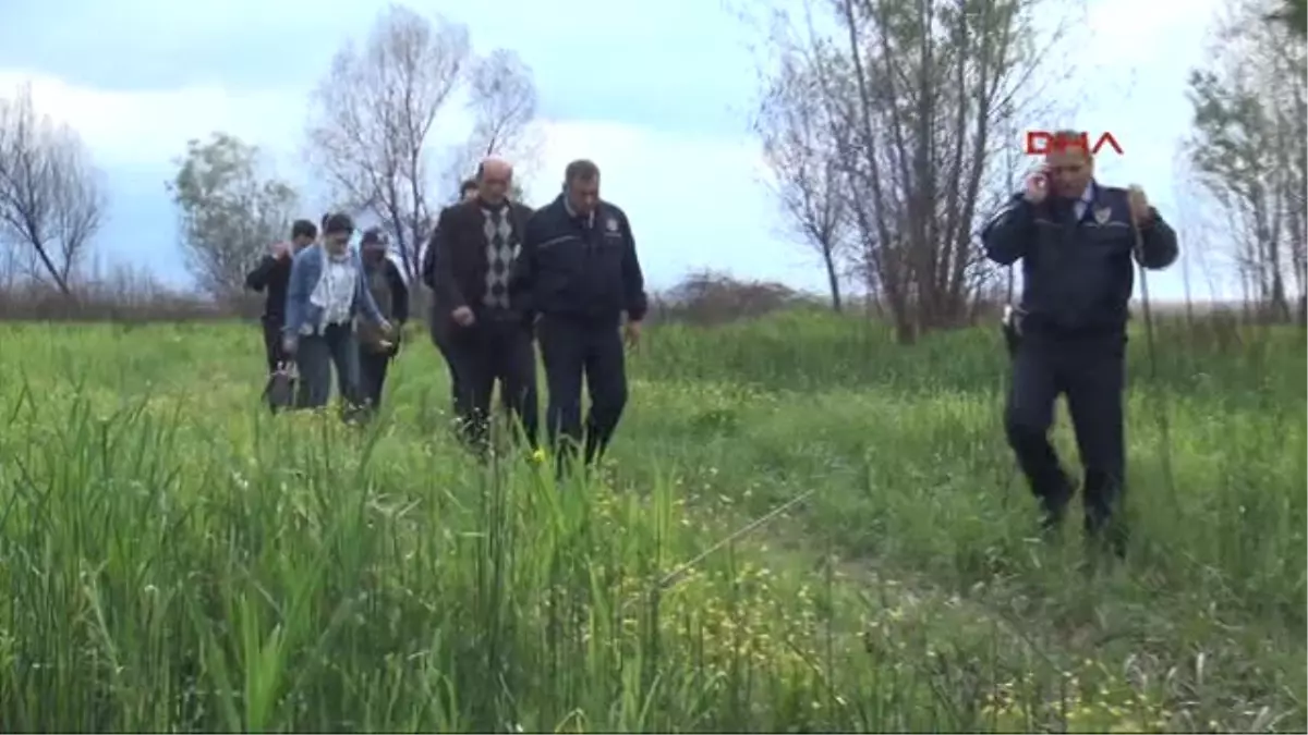 Sapanca Gölü\'nün Yanan Sazlık Alanını Tarla Yaptılar