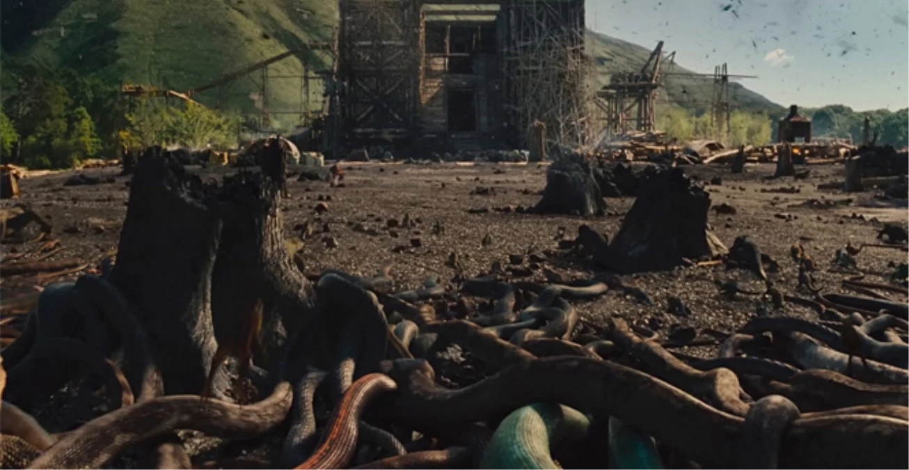 Şırnaklılar, "Nuh: Büyük Tufan" Filmindeki Gemiyi İstiyor