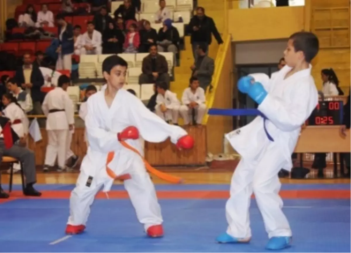 İllerarası Karate Şampiyonası Niğde\'de Yapılacak