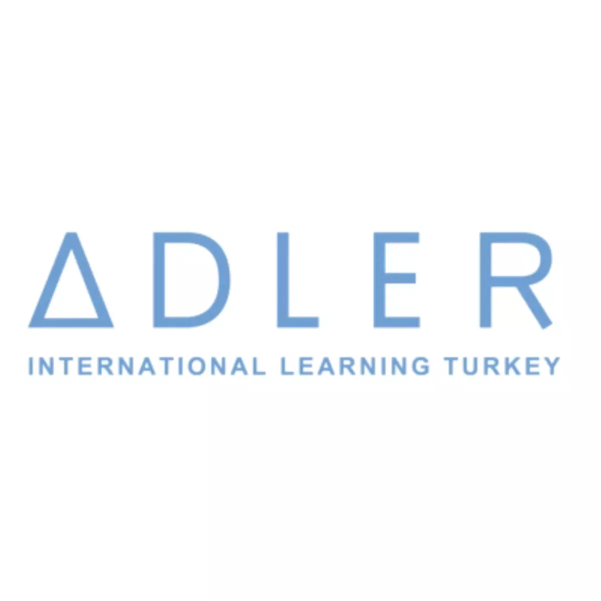 Kariyerinizi Adler Profesyonel Koçluk Programları ile Güçlendirin