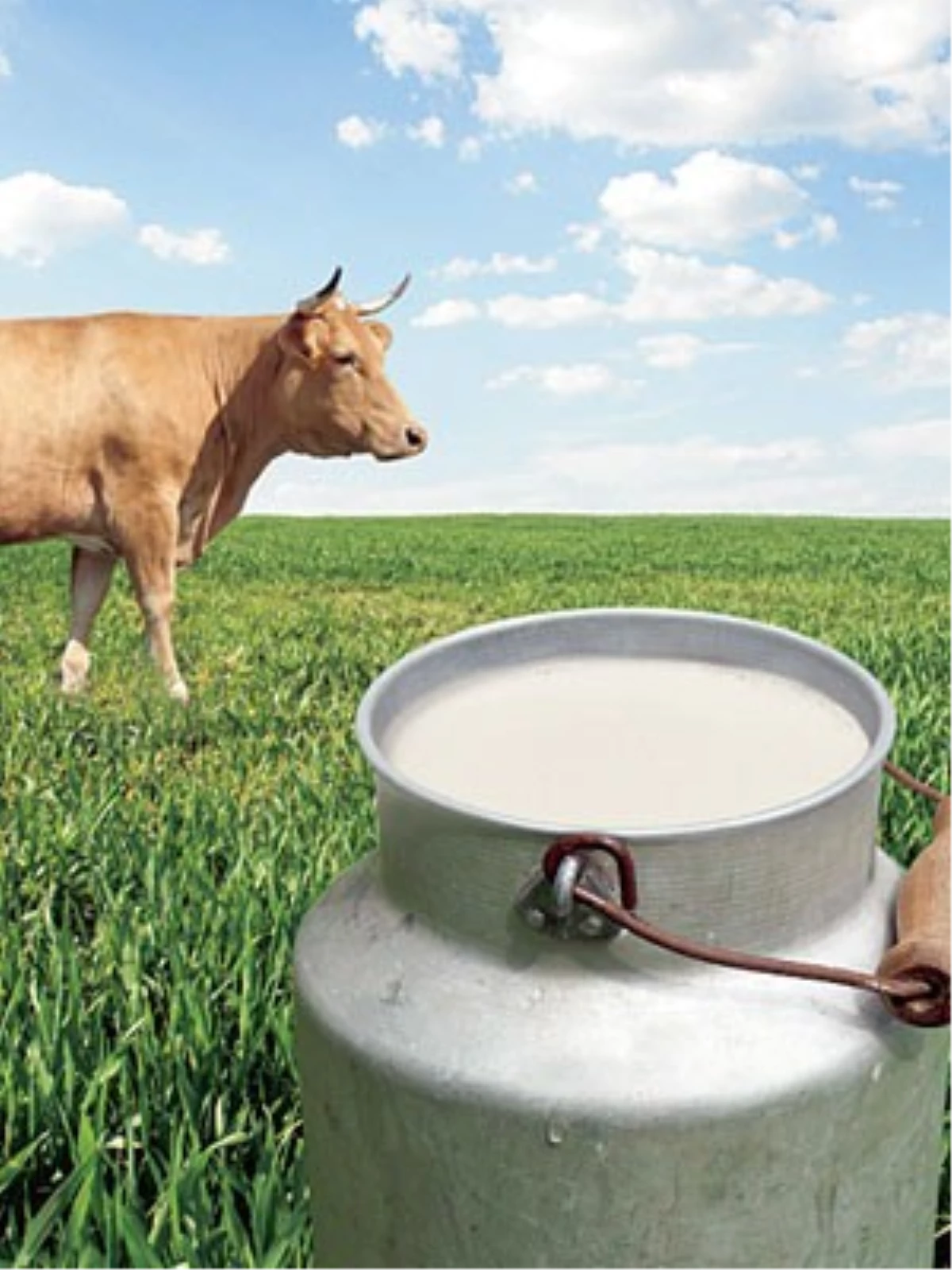 Sarayönü\'nde Süt Toplama Tesisi Açıldı