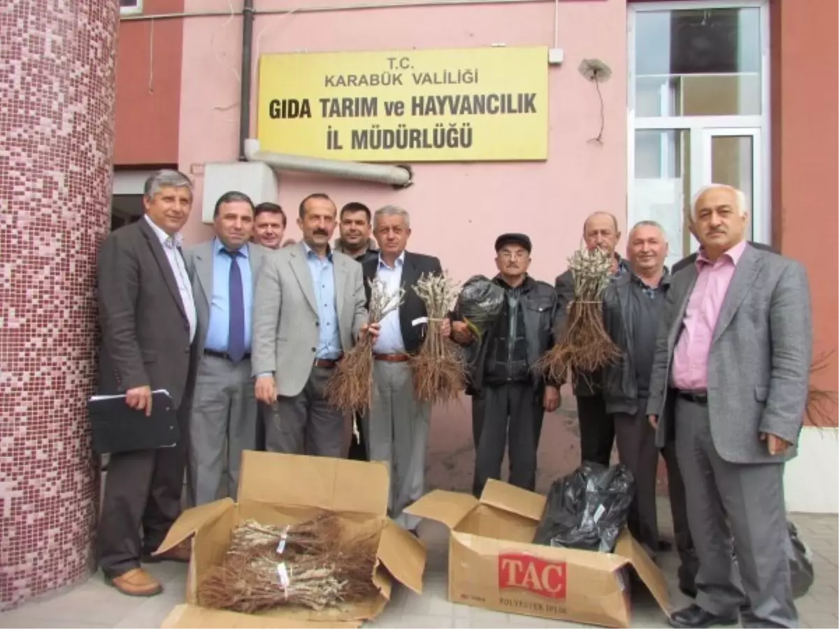 Tarım Müdürlüğünden Bağcılık Gelişimi Projesi