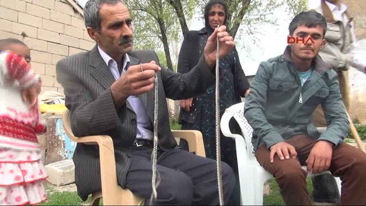 Yılanlarla Aynı Evde Yaşıyorlar