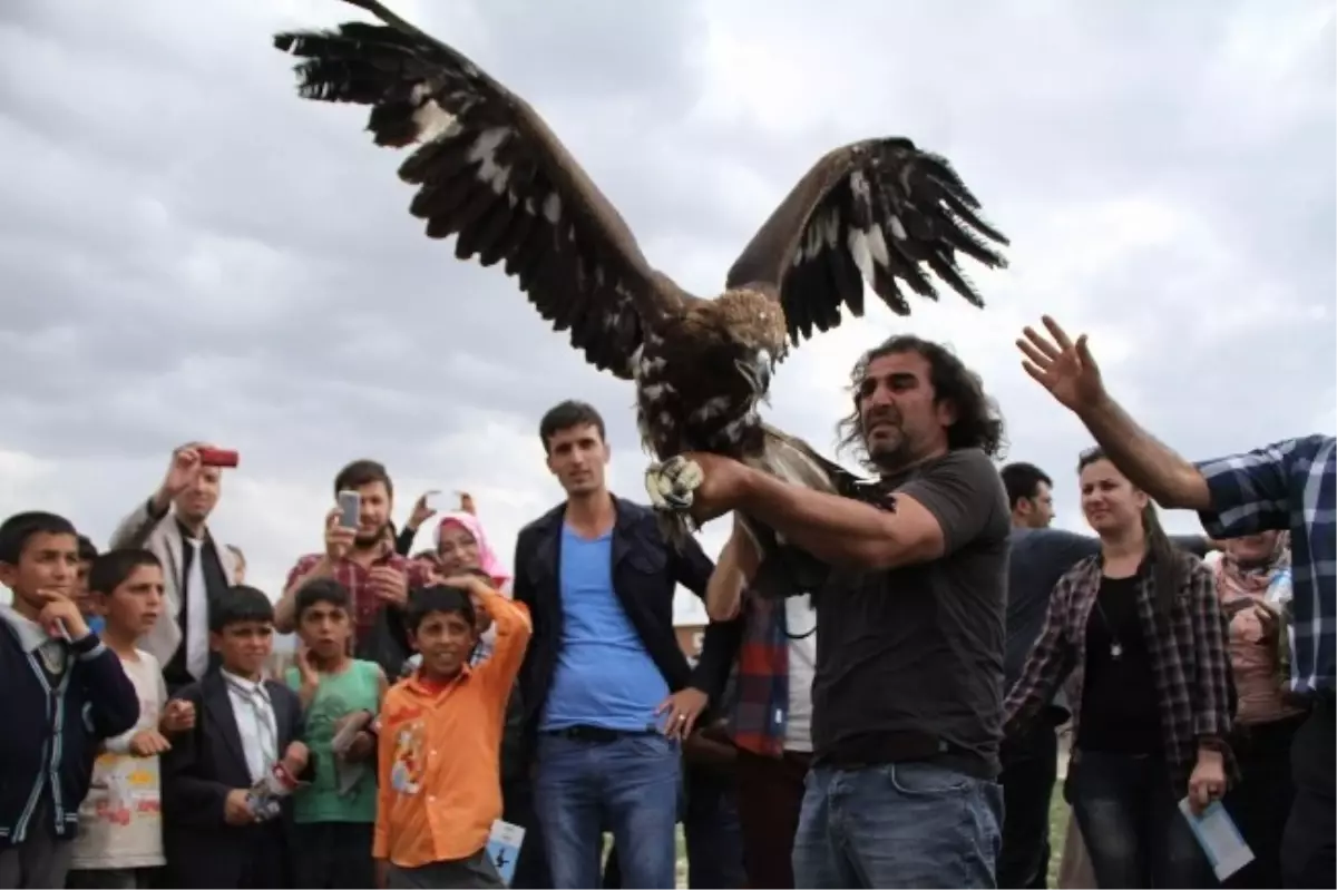 Dünya Göçmen Kuşlar Günü