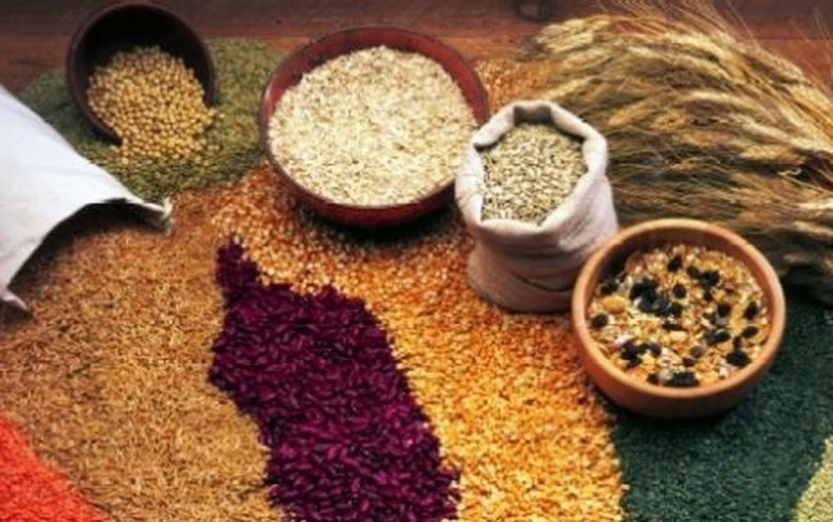 Hububat Fiyatlarının Hasat Öncesi Açıklanması İsteği