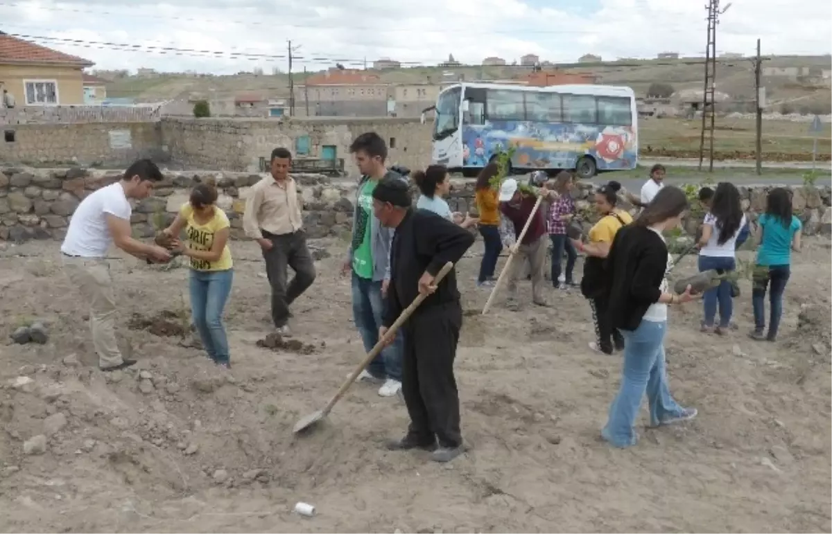 Nevşehir\'de Köy Okulları Ağaçlandırılıyor